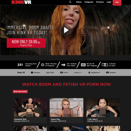 KinkVR 2026最新评测