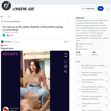 Reddit NSFW GIF 2026最新评测