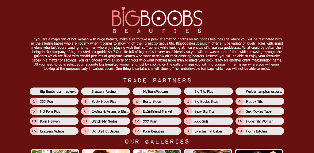 BigBoobsBeauties 2026最新评测
